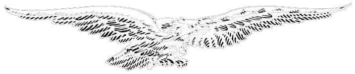 moto guzzi eagle logo